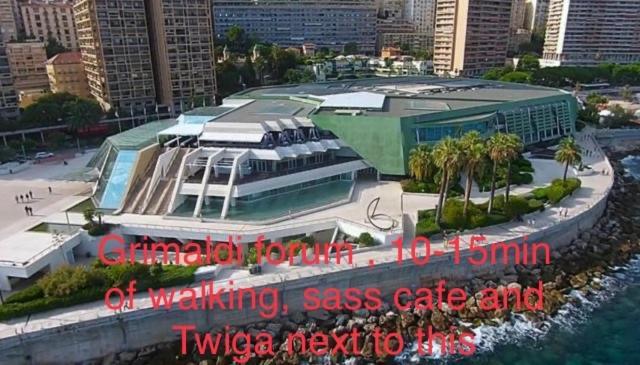 Suite Apartment In Mc Center, 5Min Walk To Casino & The Port And 1Min From Underground Train Station Monte Carlo Eksteriør billede